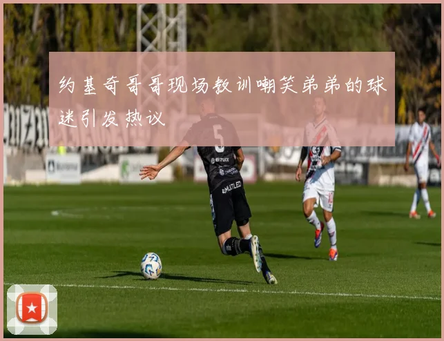 约基奇哥哥现场教训嘲笑弟弟的球迷引发热议