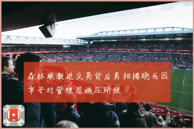 森林狼激进交易背后真相揭晓或因华子对管理层施压所致